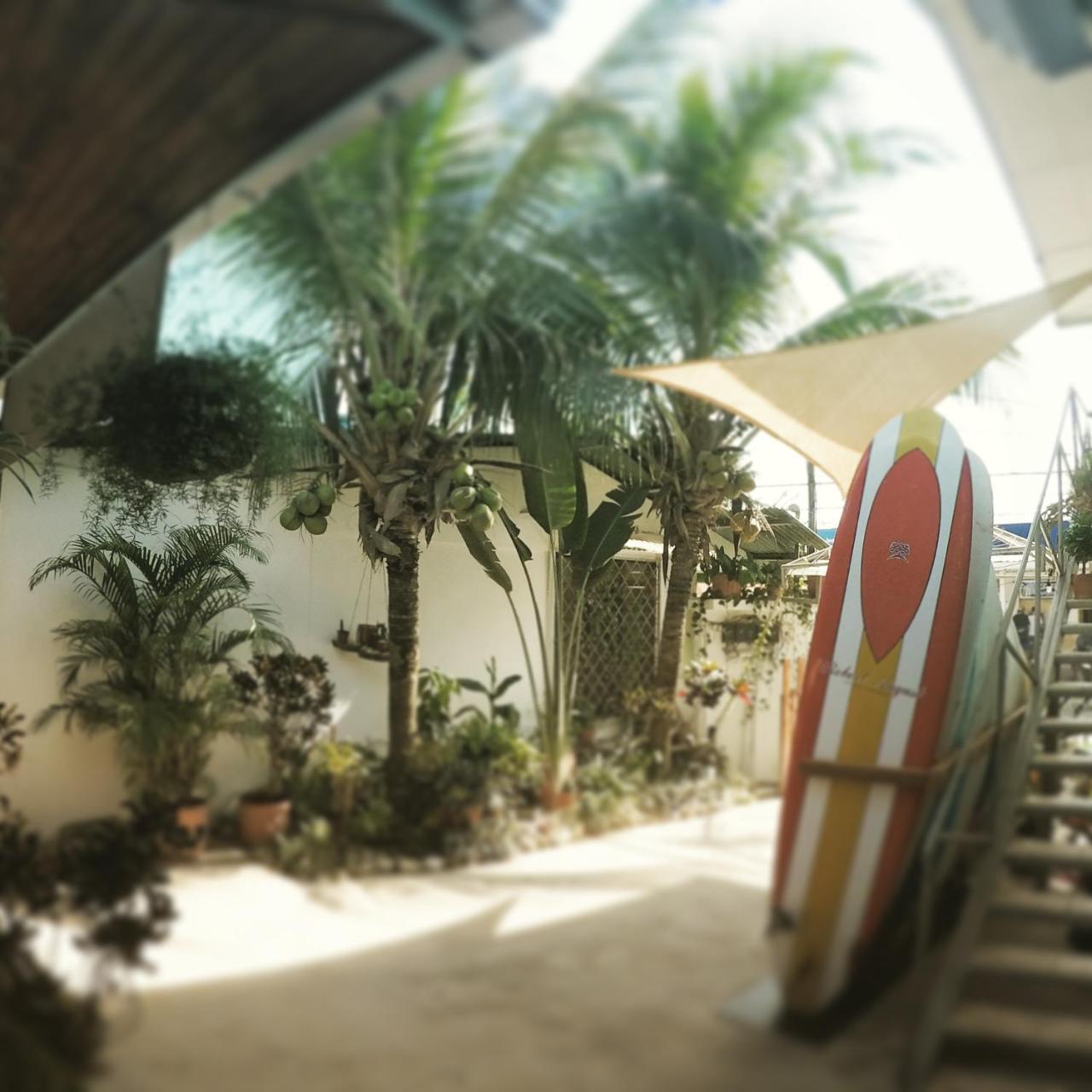 Cocobolo Surf Hotel & School Playa Santa Teresa  Zewnętrze zdjęcie