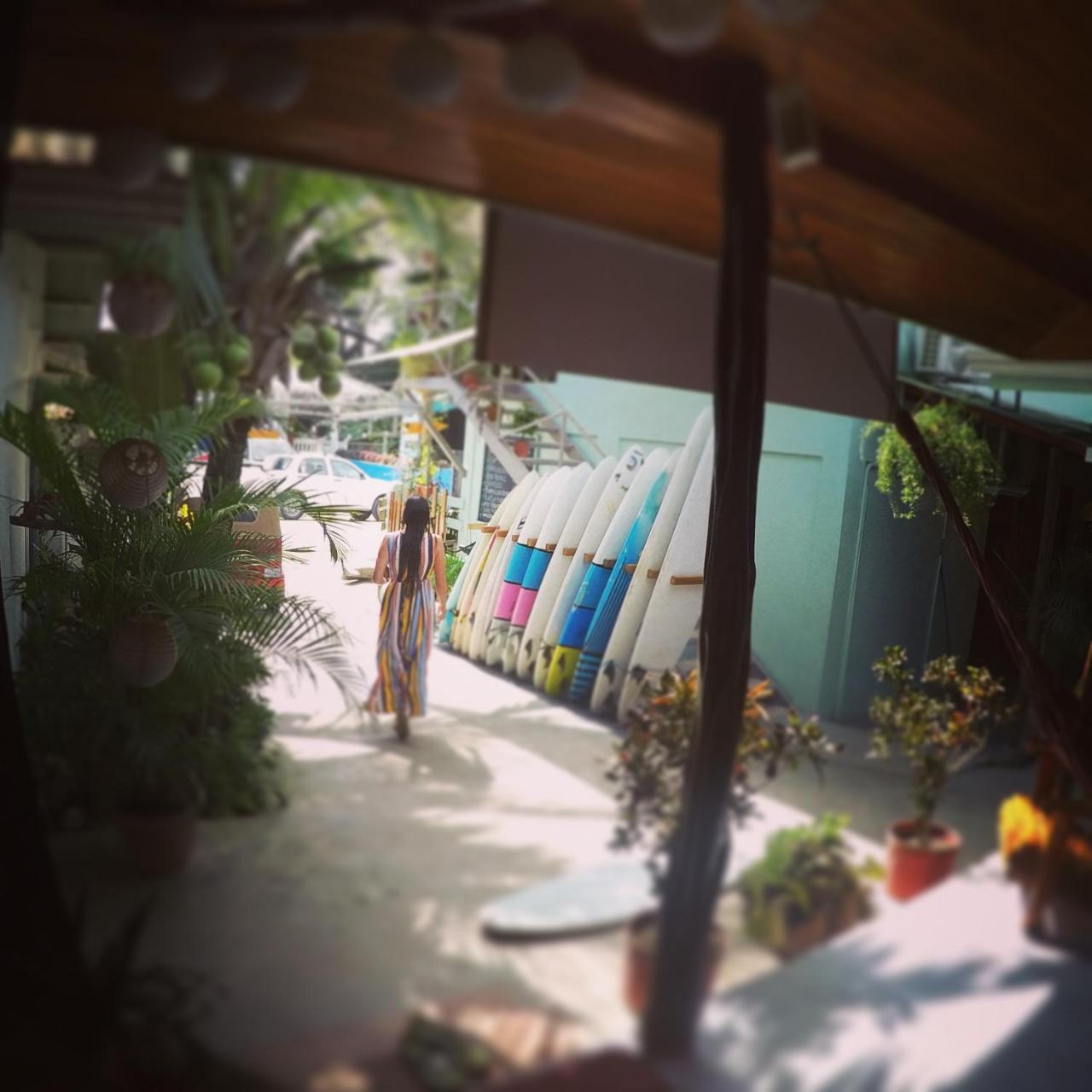 Cocobolo Surf Hotel & School Playa Santa Teresa  Zewnętrze zdjęcie